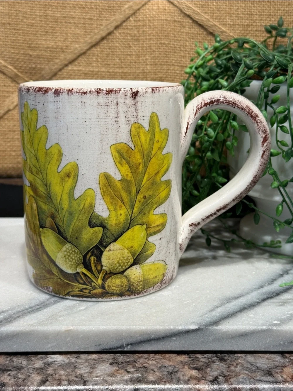 Sur La Table White and Green Oak Acorn Ceramic Mug